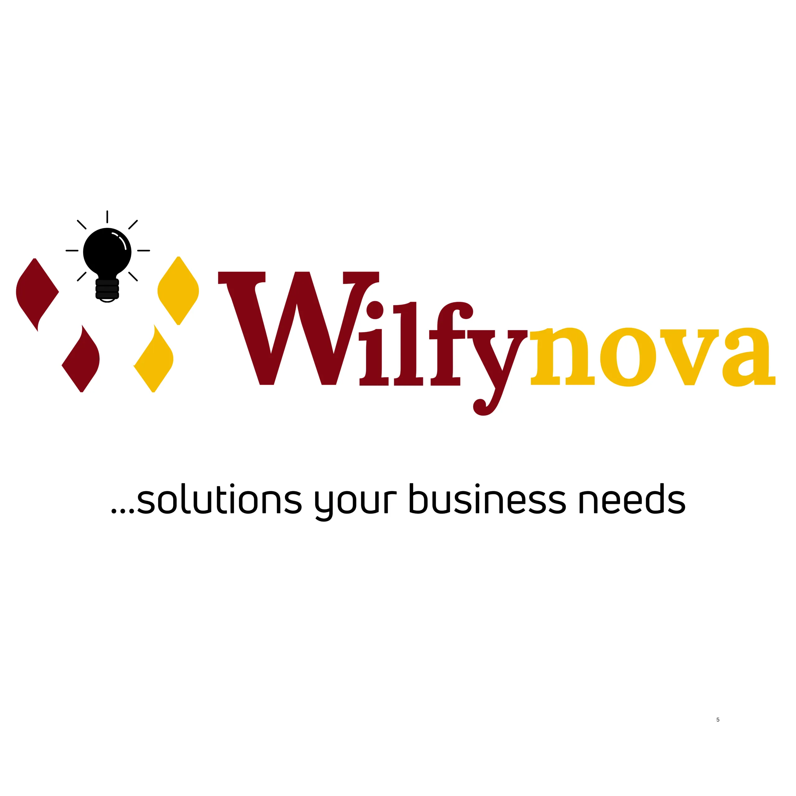 Wilfynova, our E-Commerce & Digital Marketing subsidiary