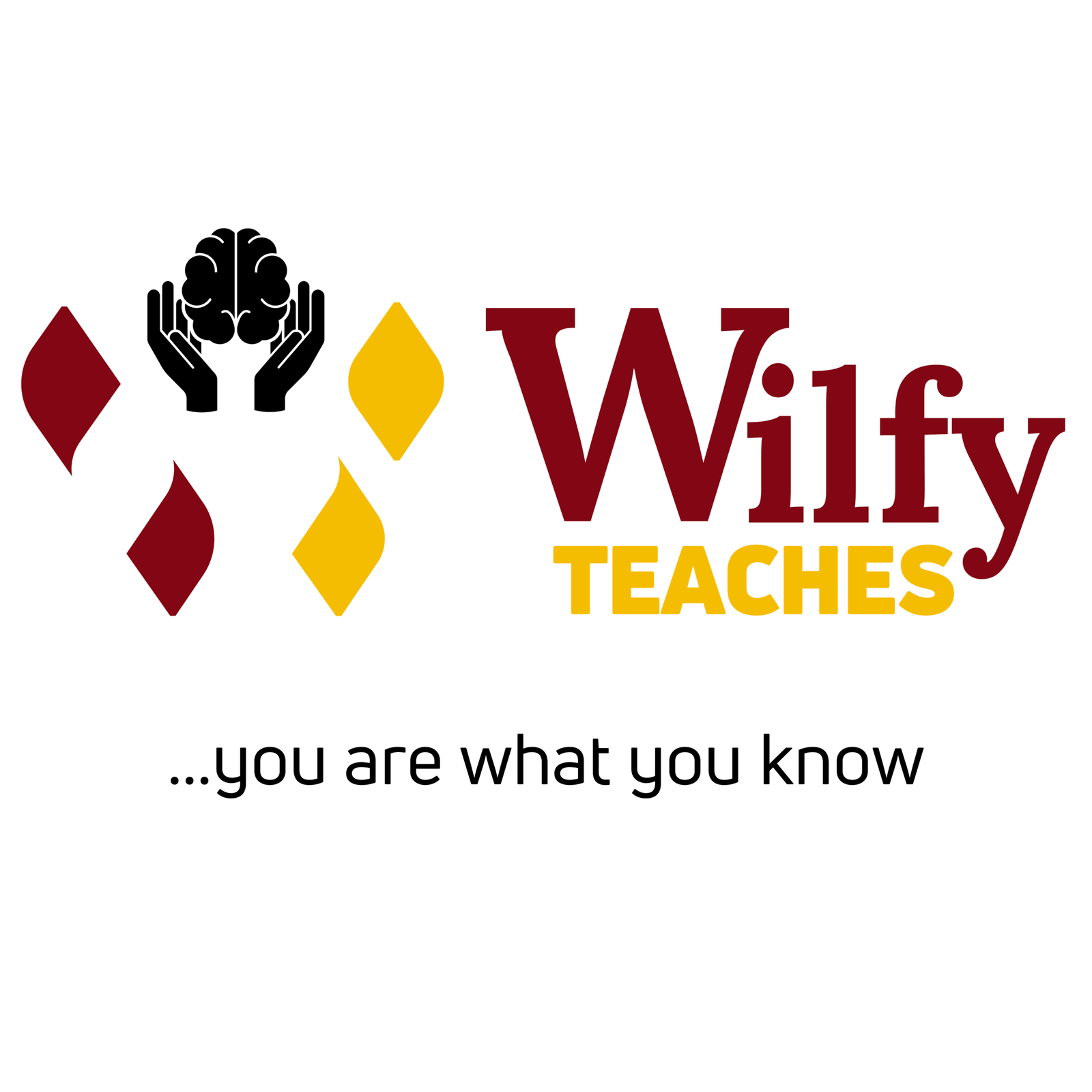 Wilfy Teaches, our skills-training subsidiary
